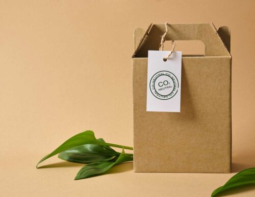 A recycled package box on a tan background with leaves surrounding it.
